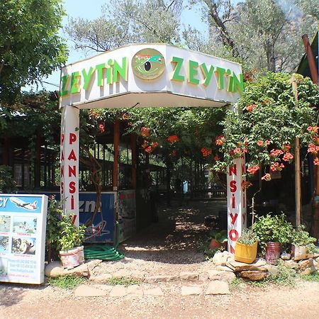 Olympos Zeytin Bed & Breakfast Exterior photo