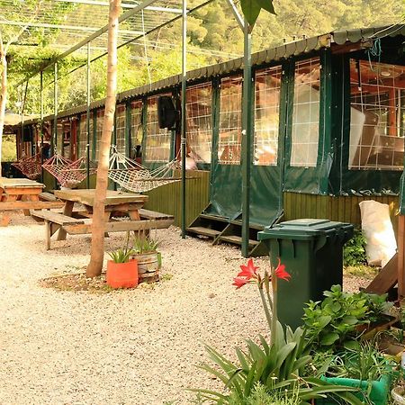 Olympos Zeytin Bed & Breakfast Exterior photo