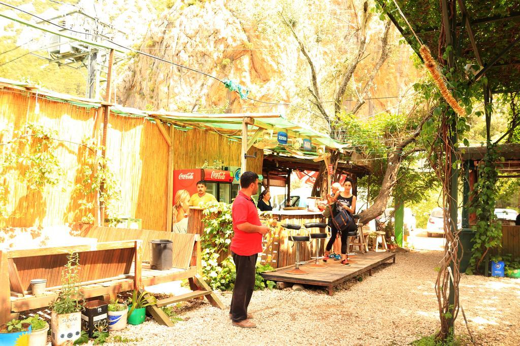 Olympos Zeytin Bed & Breakfast Exterior photo