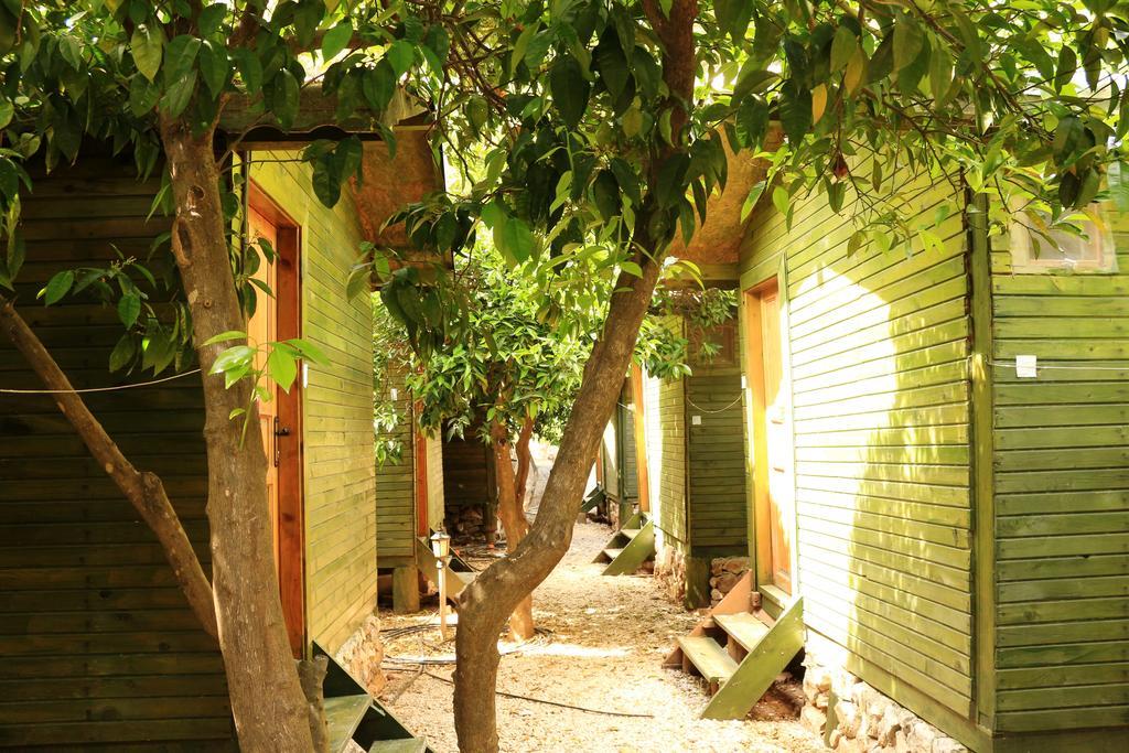 Olympos Zeytin Bed & Breakfast Exterior photo