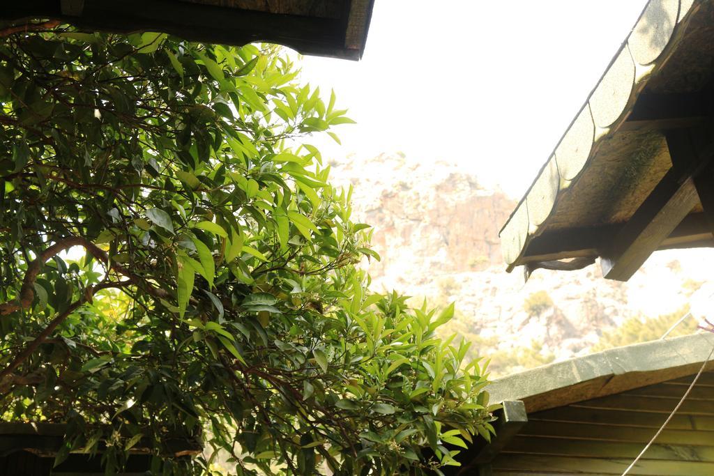 Olympos Zeytin Bed & Breakfast Exterior photo